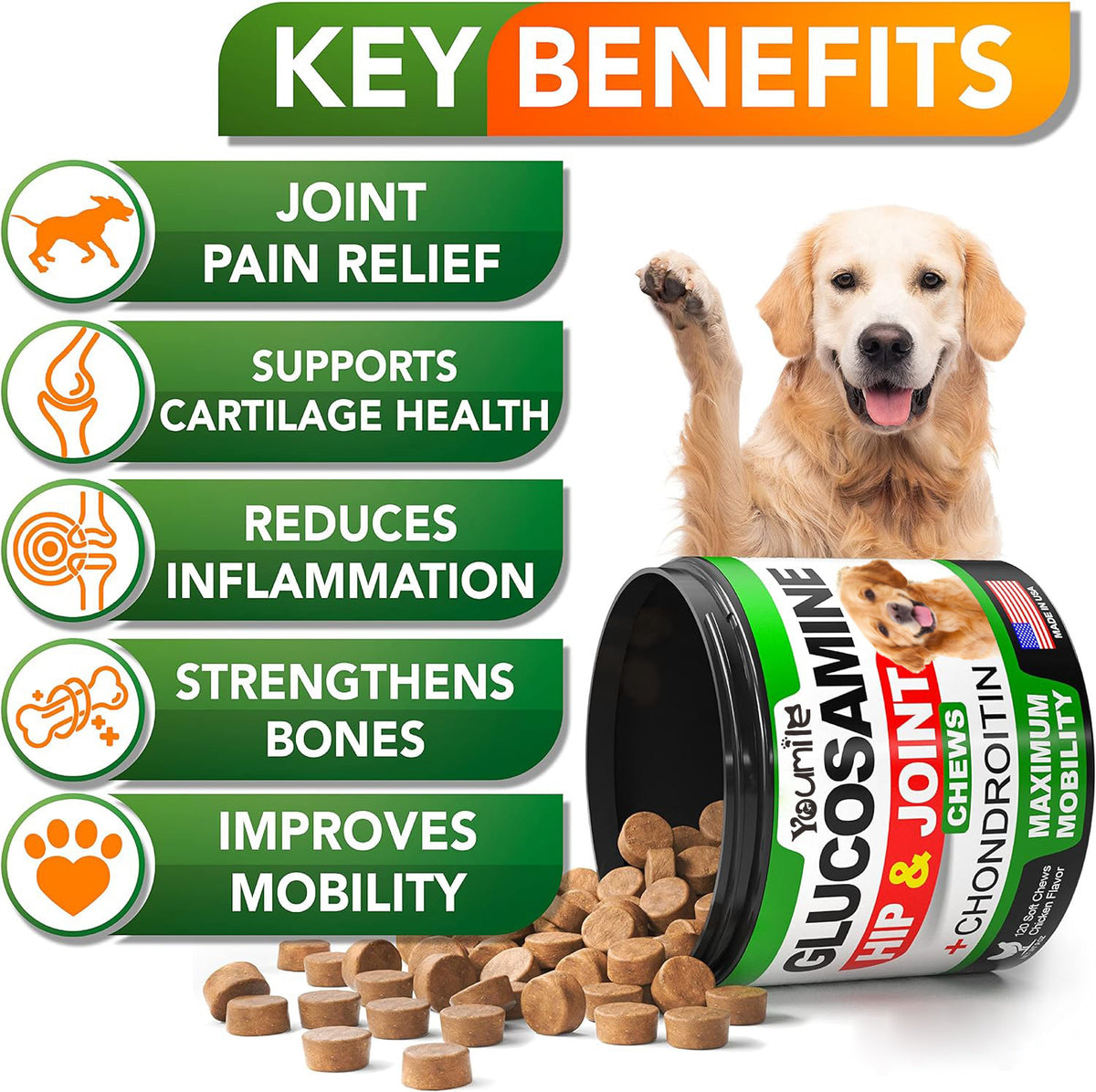 Pet Hip & Joint Supplement Chondroitin key benefits including joint pain relief and improved mobility.