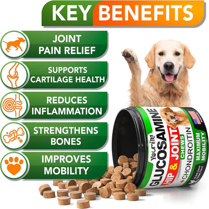 Pet Hip & Joint Supplement Chondroitin key benefits including joint pain relief and improved mobility.