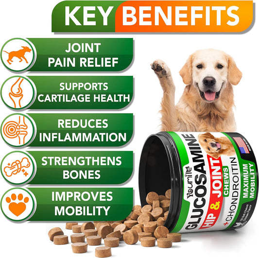 Pet Hip & Joint Supplement Chondroitin key benefits including joint pain relief and improved mobility.