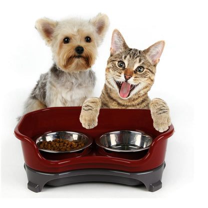 Splash-Proof Double Pet Bowl with Stainless Steel Bowls for Dogs and Cats