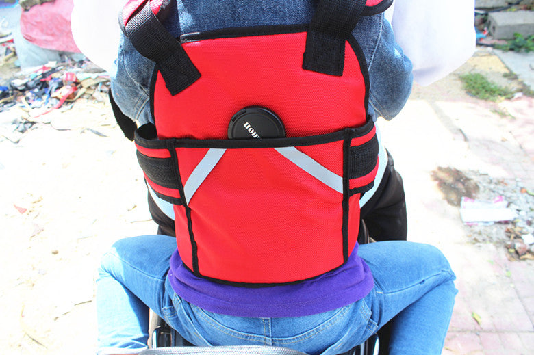 Pet Seat Belt Strap Anti-fall Cycling Harness