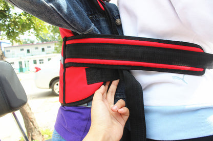 Pet Seat Belt Strap Anti-fall Cycling Harness