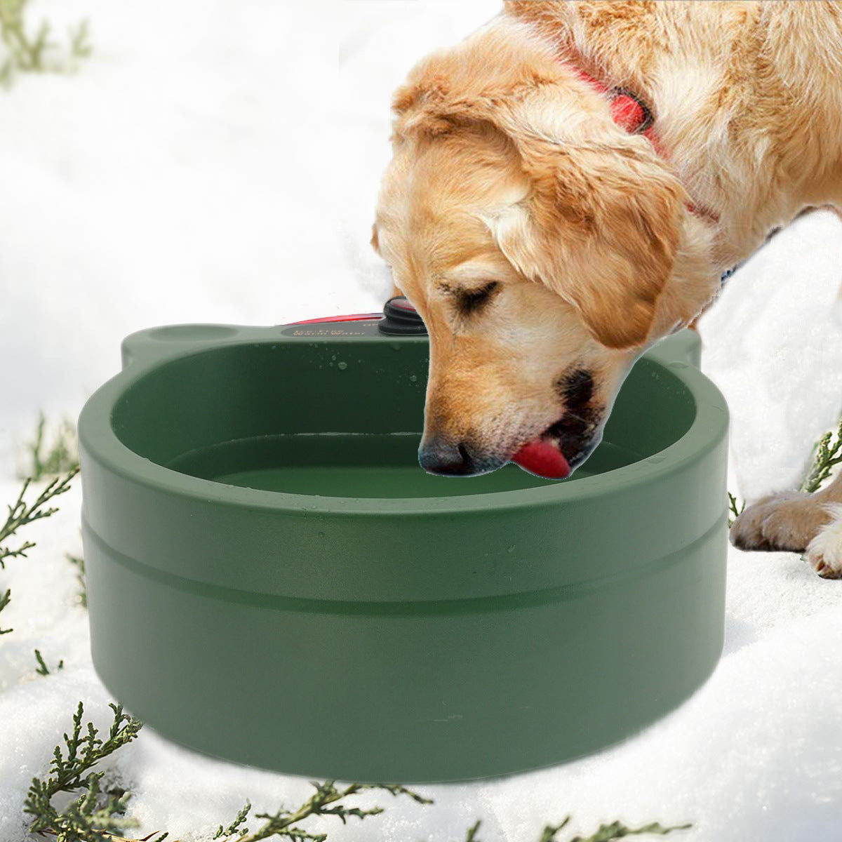 Heated Pet Water Bowl for Cats & Dogs