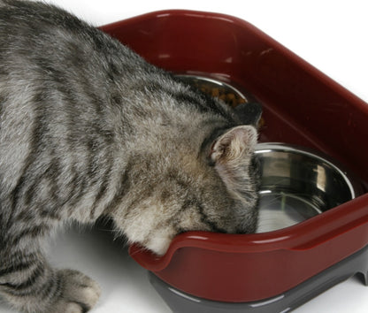 Splash-Proof Double Pet Bowl with Stainless Steel Bowls for Dogs and Cats