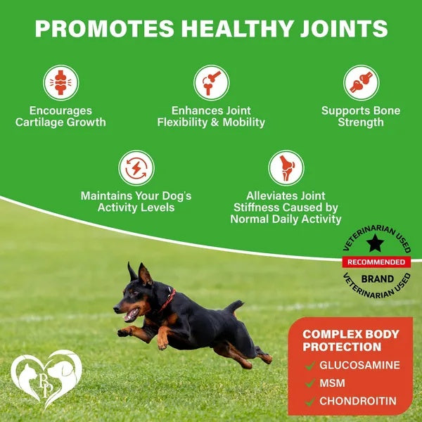 Dog Hip & Joint Support Soft Chews with Glucosamine, Chondroitin & MSM