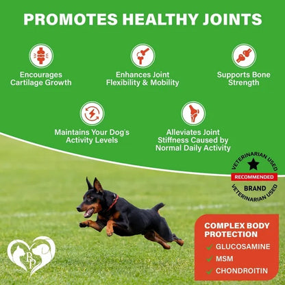 Dog Hip & Joint Support Soft Chews with Glucosamine, Chondroitin & MSM