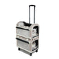 Multi-pet Outdoor Carrier Portable And Breathable Stroller For Cats And Dogs