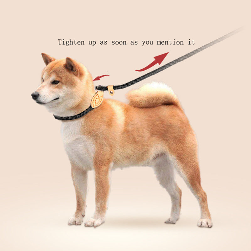 Dog Leash Specializing In Blast Race Level Training P Rope Collar Leash Blast Collar Collar Automatically Tighten The Dog Leash