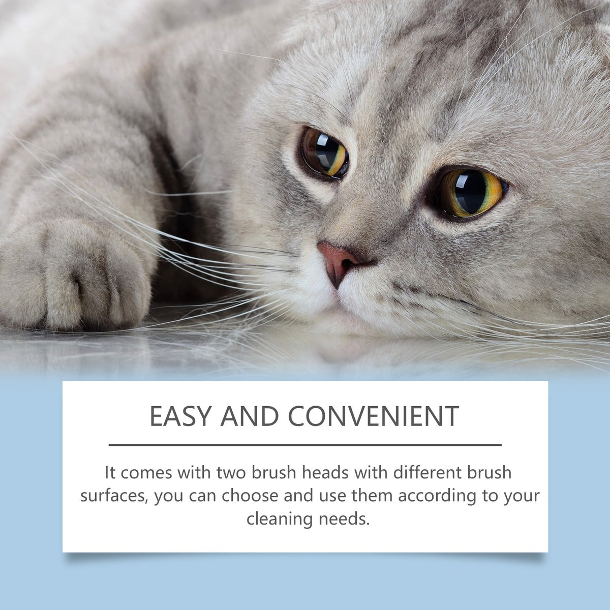Gentle Cleaning Dogs And Cats Mouth Decontamination Maintenance Cleaning Solution
