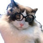 Pet Dog Cat Multi-color Sunglasses Cool Handsome Accessories