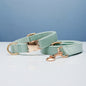 Multiple Colour Velvet Personalise Dog Collar Leash Set With Bow