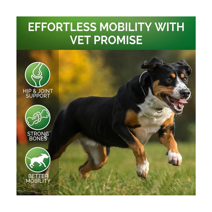 Pet Hip & Joint Supplement Chondroitin supports hip and joint health, strong bones, and better mobility for pets.