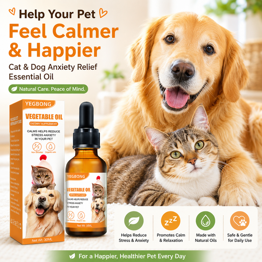 Pet Cat And Dog Diet Care To Enhance Physical Fitness And Nutritional Supplements