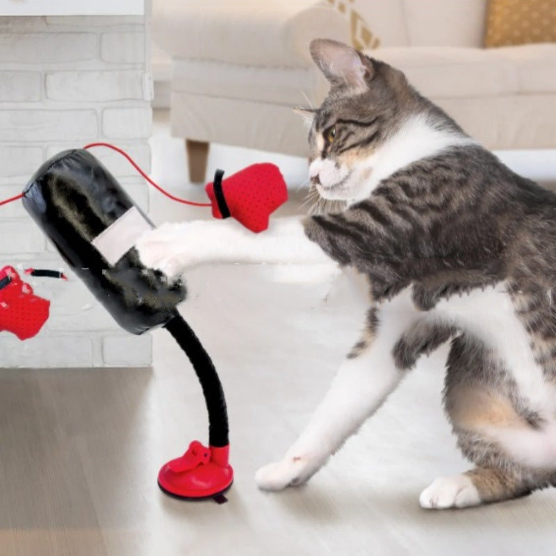 Cat Boxing Teaser Toy